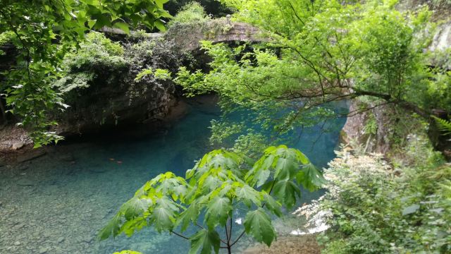 과합삼경