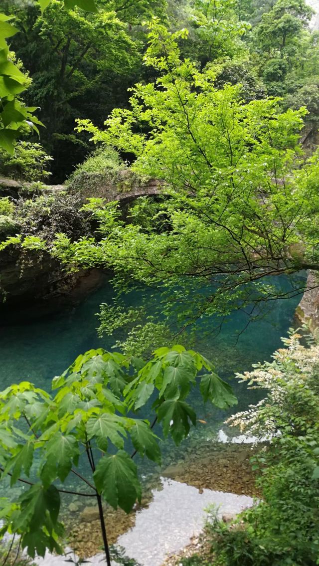 과합삼경