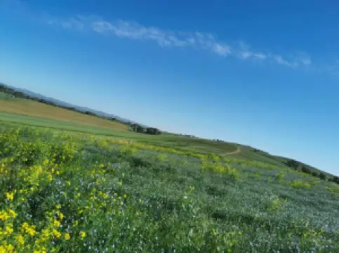 ภูเขาหัวล้านใหญ่