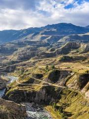 Cañón De Colca