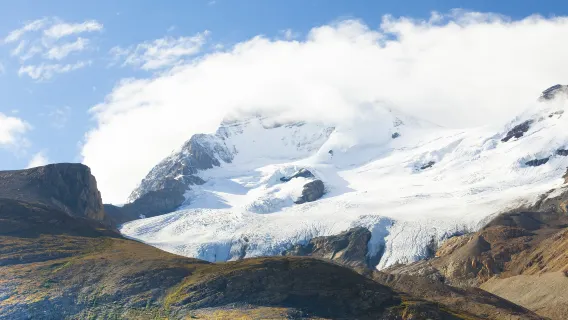Calgary 1-day tour to Columbia Icefield [Visit Peyto Lake + Bow Lake]