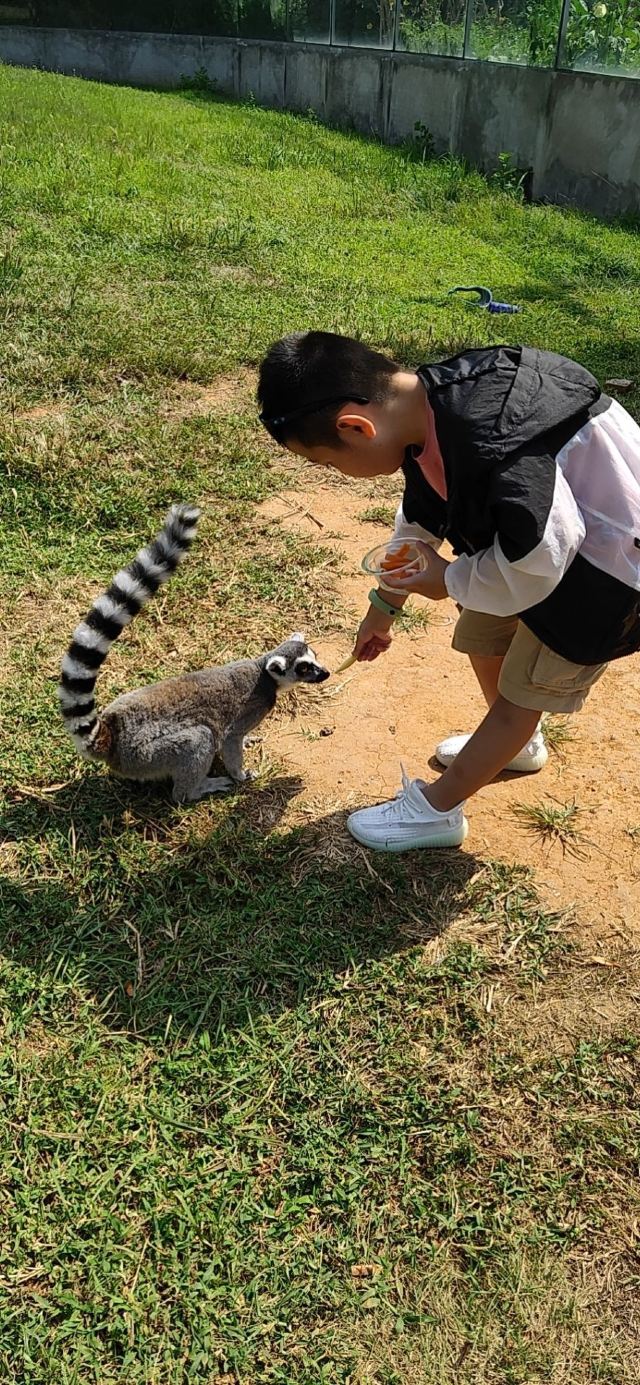 친황다오 야생동물원