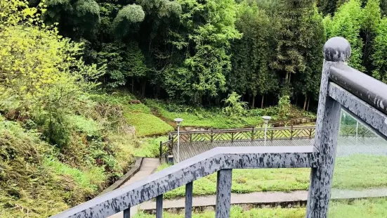 玉湖岚山酒店-中央食堂