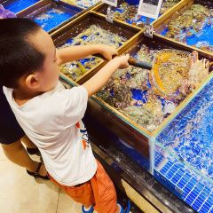 高佳庄·海鲜酒楼(临城百合店) User Photo