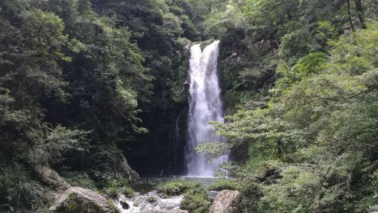 在井冈山的龙潭地区，有一个瀑布群和一系列深潭。这里最著名的仙
