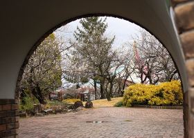 從札幌直飛廣島航班