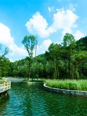 Yanzishan Yuanshi Ecology Tourism Sceneic Area