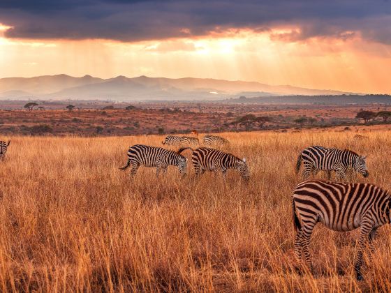 Nairobi National Park