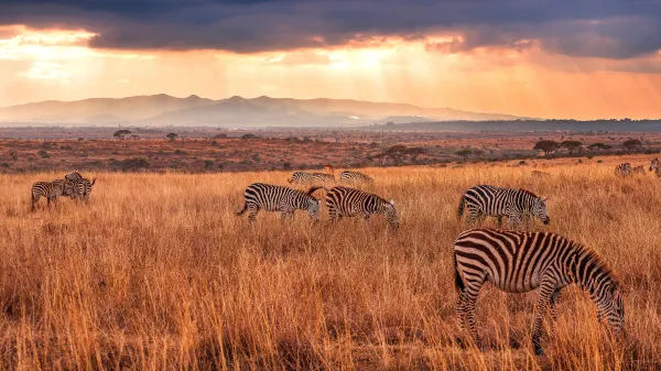 Vé máy bay Quy Nhơn Nairobi