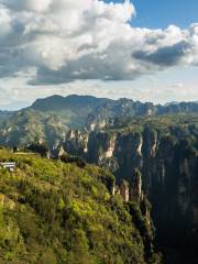 Tianzi Mountain