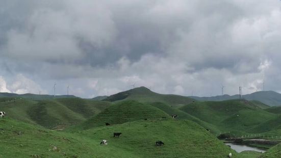 南山牧场景色不错，风景优美，原生态自然风景，空气清新，自然，