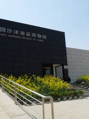 中国沙洋油菜博物館