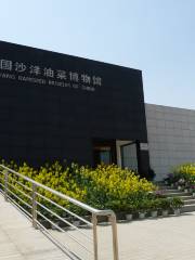 China Rape Museum