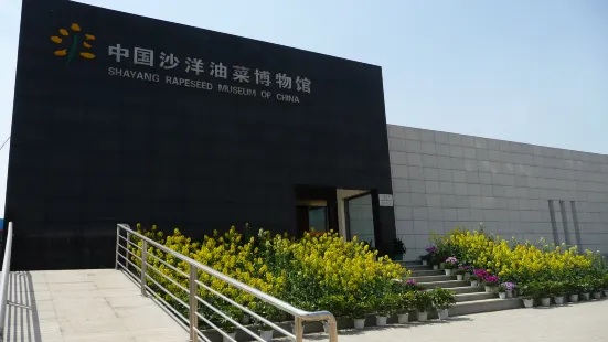 China Rape Museum