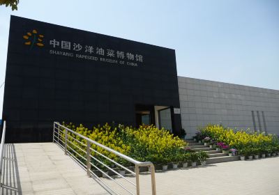 China Shayang Rape Museum