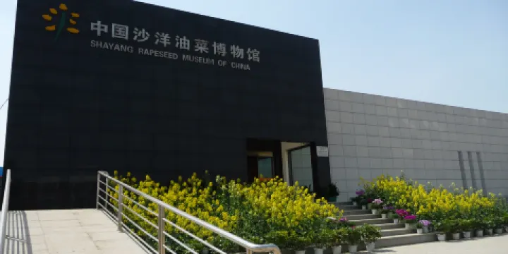 中國油菜博物館