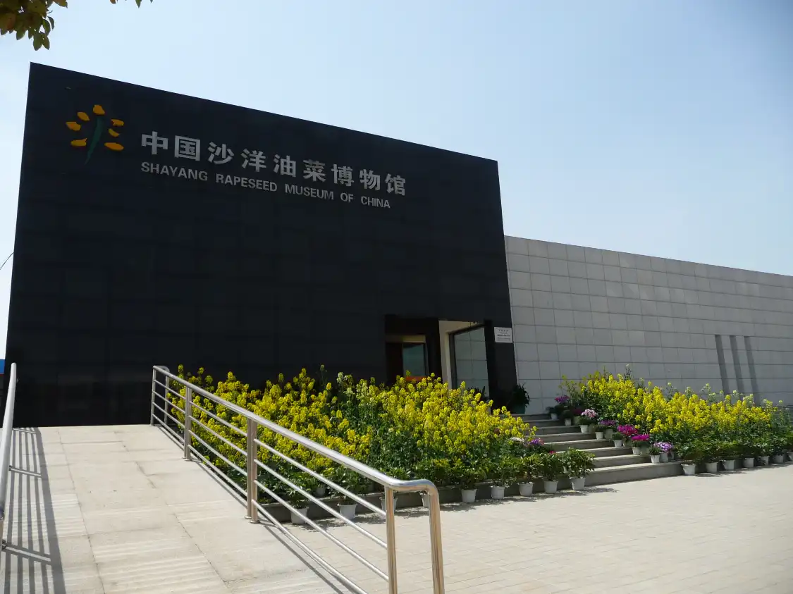 Hotel in zona China Shayang Rape Museum
