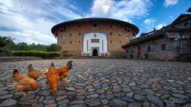 Yongding Tulou King + Chengqilou + Qiaofulou Private Charter 1-Day Tour