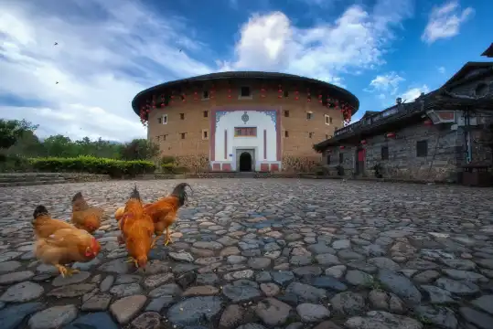 河坑土樓群附近的飯店