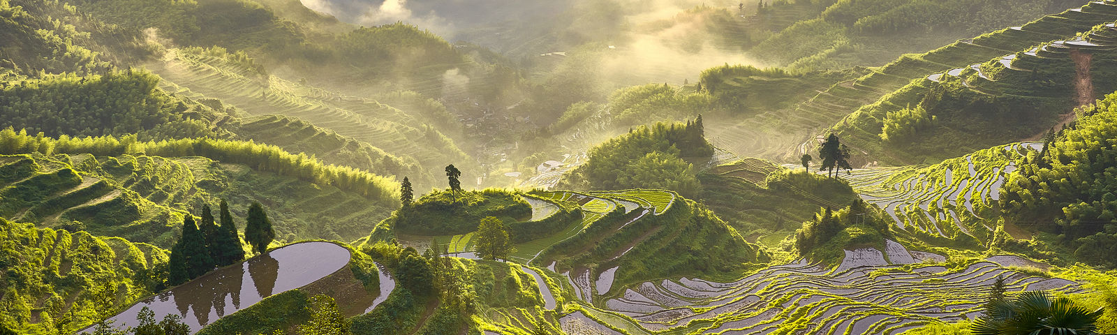 travel