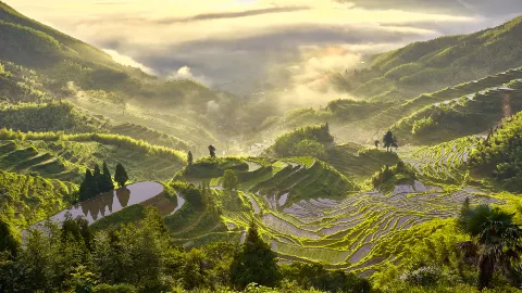 麗水 travel destination