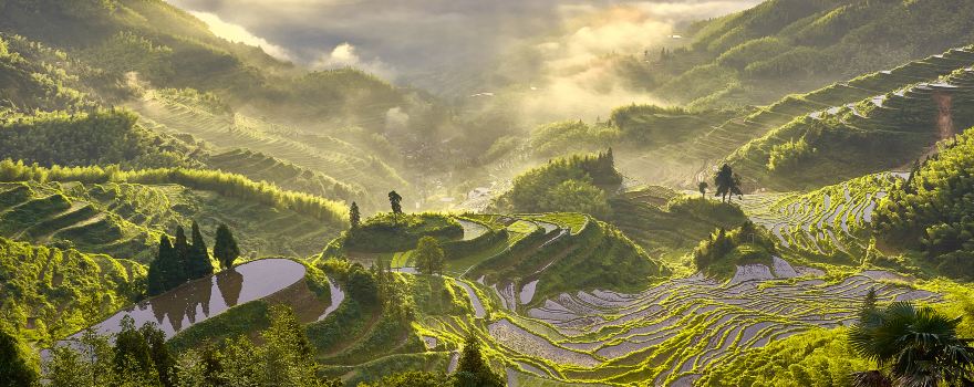Lệ Thủy