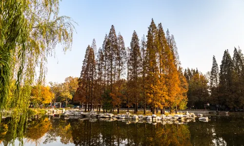 Zhongshan Park