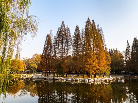 中山公園