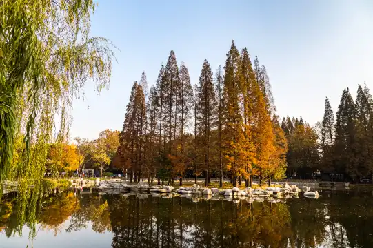 鄰近中山公園的酒店