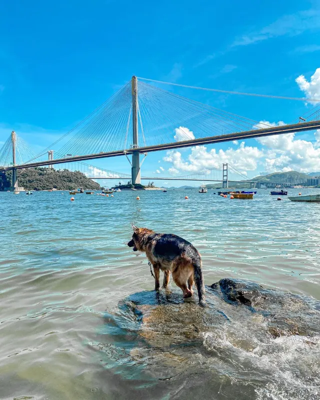 【香港沙灘2022】6間近沙灘酒店介紹+9個必去親子沙灘👪