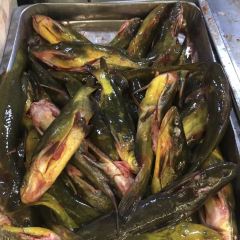 老哥铁锅炖鱼(嫩江北街店) User Photo
