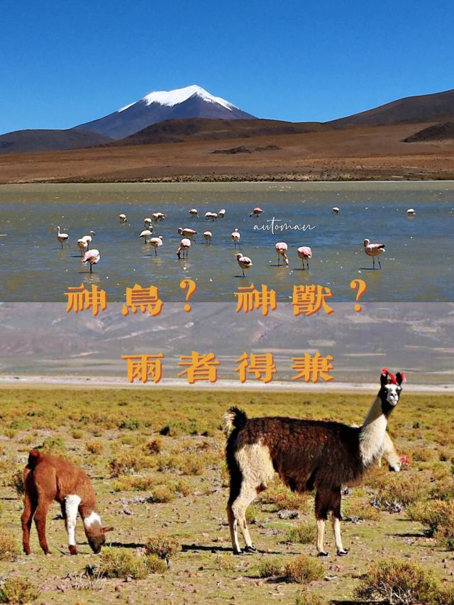 Laguna Hedionda