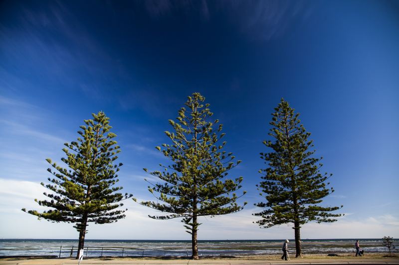 Altona Pier