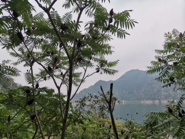 Huangsongyu Reservoir