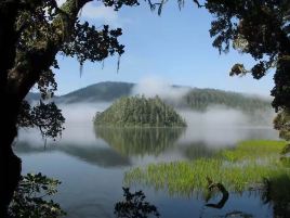 碧塔海风景区(香格里拉东)