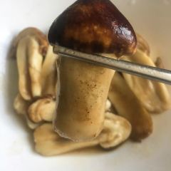 味绝特色藏餐 User Photo