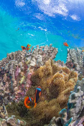Отели с услугой ванной в г. Йомитан