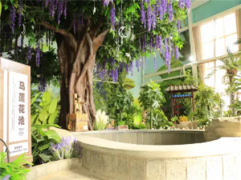 Popular Hot Springs Attractions in Ningxia