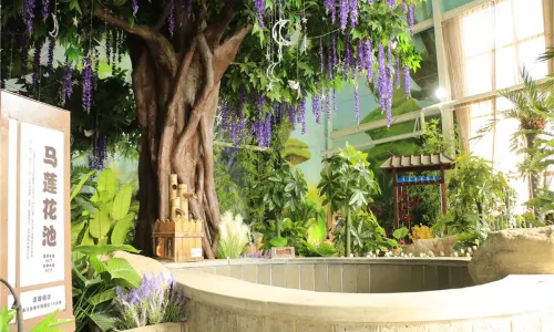 Tianmu Hot Spring