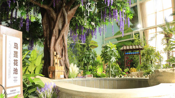 Tianmu Hot Spring