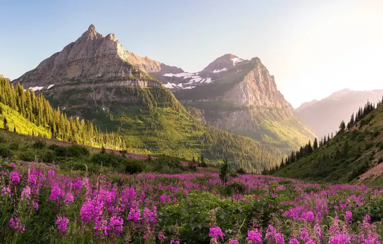 Hotels With Wi-Fi in Montana, United States