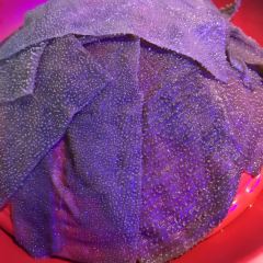 洋马儿火锅(磁器口店) User Photo