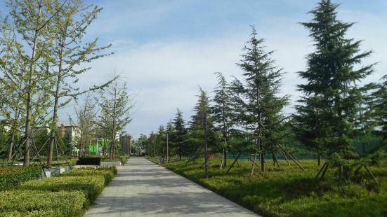郑州龙湖公园也算是现在的一个新晋网红景点，但是很多人都会把聚