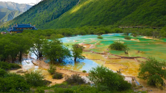 黃龍國家重點風景名勝區-原始森林