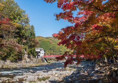 豐田市