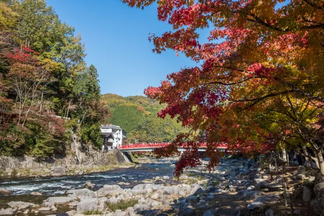 鄰近Tado Shrine的酒店