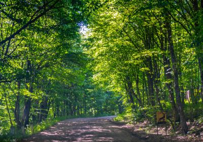 Dilijan National Park