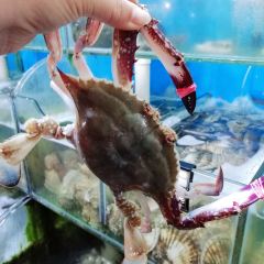 昌黎天明宾馆·犇羴鱻海鲜大排档(黄金海岸店) User Photo