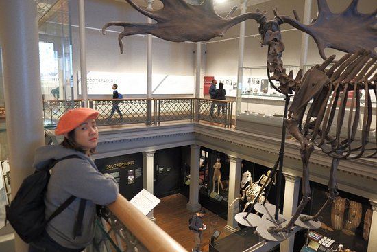 Western Australian Museum-Perth