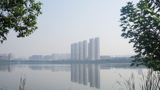 江夏区有一个面积很大，碧波荡漾的汤逊湖让人心旷神怡。几年前来